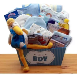 Outlet โค๏ธ GBDS A Special Delivery New Baby Gift Basket - Blue ๐ฏ