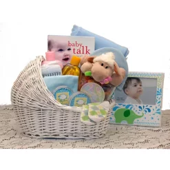 Top 10 🎁 GBDS Welcome Baby Bassinet New Baby Basket-Blue ❤️