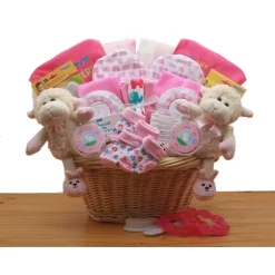 Top 10 ⌛ GBDS Double Delight Twins New Babies Gift Basket - Pink 🎉