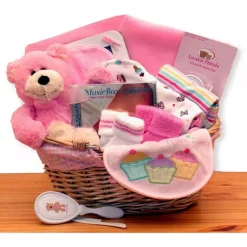 Budget 😍 GBDS Simply The Baby Basics New Baby Gift Basket -Pink 🧨