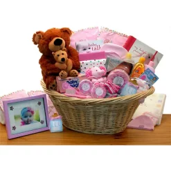 Cheapest ๐งจ GBDS Deluxe Welcome Home Precious Baby Basket-Pink โ