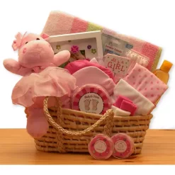 Outlet ๐ GBDS Our Precious Baby New Baby Carrier -Pink ๐