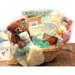 Wholesale ✨ GBDS Deluxe Welcome Home Precious Baby Basket-Yellow/Teal 😉