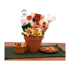 Coupon ๐ GBDS Sunflowers For You ๐