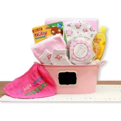 Budget ๐ GBDS Baby Basics Gift Pail Pink ๐