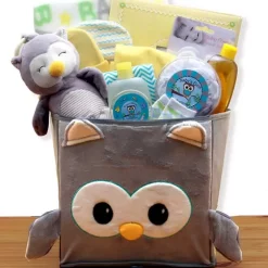 Cheapest ๐คฉ GBDS A Little Hoot New Baby Gift Basket ๐