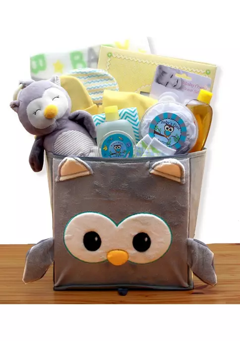 Cheapest ๐คฉ GBDS A Little Hoot New Baby Gift Basket ๐ 4 Cheapest ๐คฉ GBDS A Little Hoot New Baby Gift Basket ๐ - Image 2